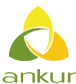 logo (2)
